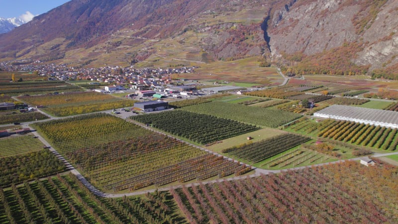 Valais Wine Region Switzerland's Largest Vineyard and Wine Production Area