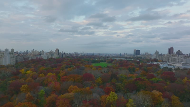 Forwards fly above large park in city with softball fields. Autumn colourful Central park lined by urban neighbourhoods. Manhattan, New York City, USA