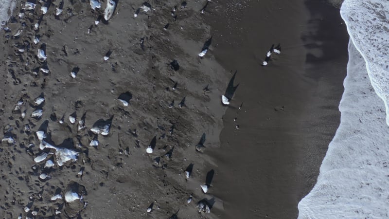 Diamond Beach at Glacier Lagoon in Iceland a Black Sand Beach with Scattered Ice