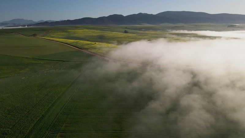 Aerial view of Overberg farm with green field and fog, Western Cape, South Africa