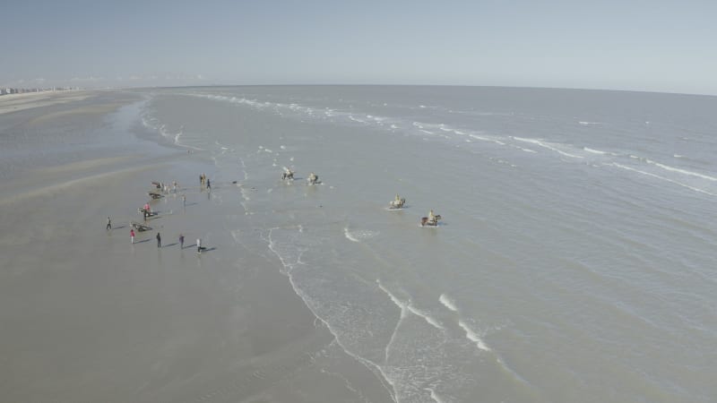 Aerial view of persons riding a horse, Vlaanderen, Belgium.