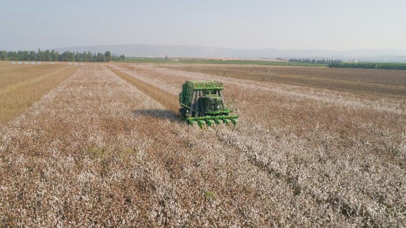 Aerial view of combine picking cotton, Kibbutz Saar, Mate Asher, Israel.