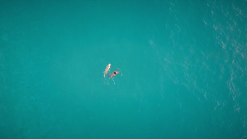 Aerial view of a man and a dog swimming in the sea.