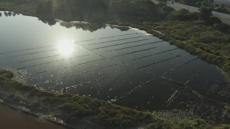 Salt Production Process in Mallorca