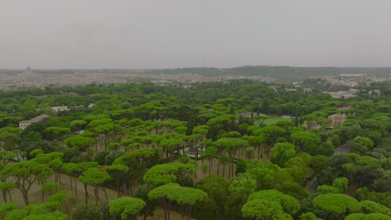 Public park with grown green trees. Aerial ascending footage of greenery in city, revealing panoramic view of metropolis. Rome, Italy