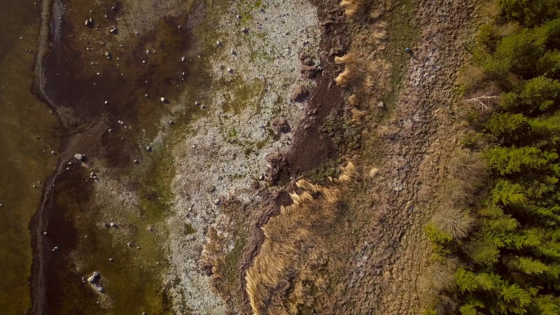 Aerial view of algal bloom in the sea on the shore of Vormsi island.