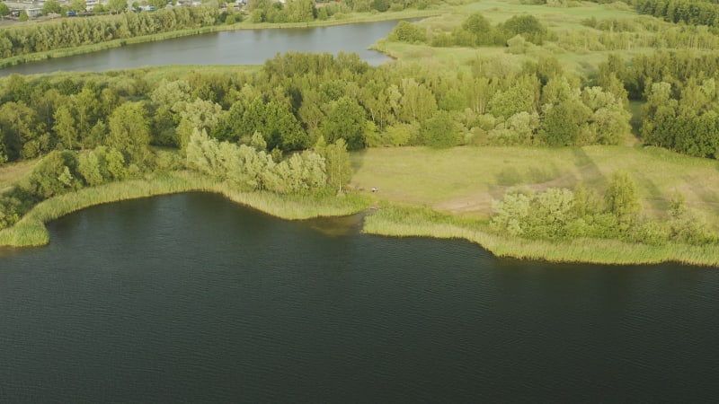 Aerial view of people on the lake shore with thick vegetation