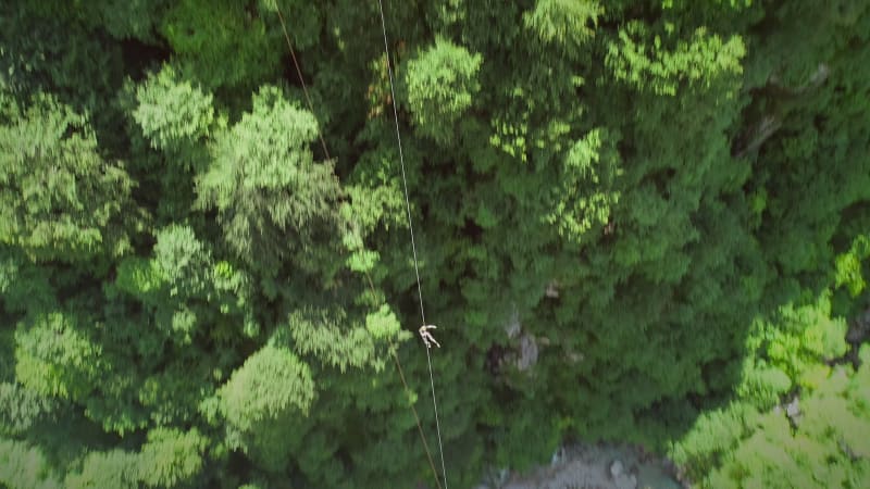 Aerial view of a person canopying over the forest in zip-line.