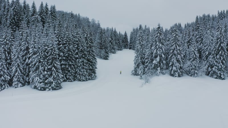 Aerial view of a woman doing cross country skiing, Onnion, France.