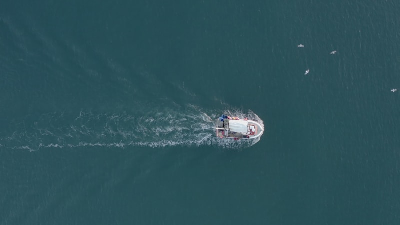 Fishing Vessel Flocked by Seagulls at Sea Bird's Eye View