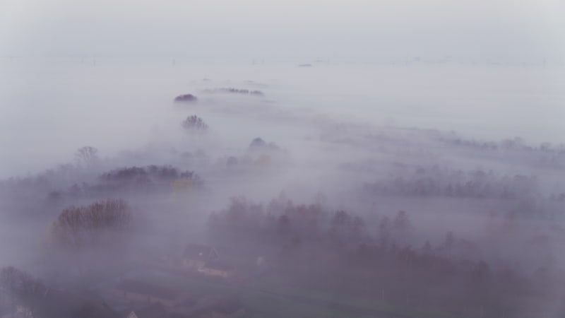 Thick Fog Covering A Winter Forest