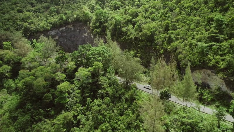 Aerial view of car driving in the middle of forest near Oslob.