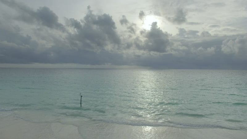 Aerial view of beach with transparent water.