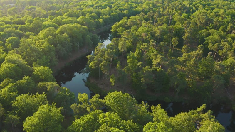 Scenic aerial view of a beautiful lake and green forest