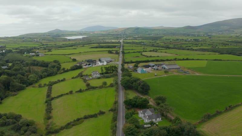 Backwards fly above long straight road leading through countryside. Green fields and pastures divided into small parts. Ireland