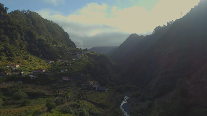 Early Morning in the Misty Valleys of Madeira