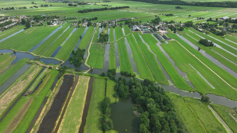 Hollands polderlandschap met boerderijen en veeteelt in Krimpenerwaard