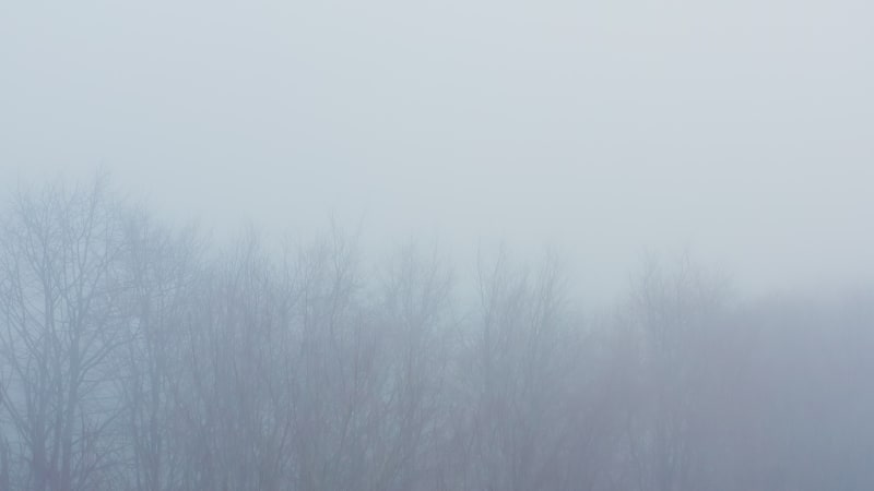 Aerial drone video of mysterious misty blue foggy woods with bare trees in mist in woodland in winter, spooky haunted forest rural scene, Cotswolds, Gloucestershire, England, UK