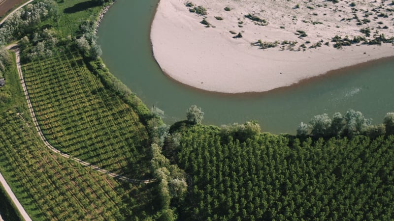 Aerial view of a big bend of the river Sesia in Langosco, Po Valley, Italy.