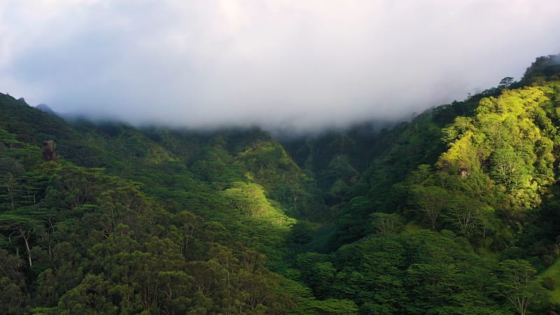 Aerial drone view of Mt Makaleha, Kauai, Hawaii, United States.