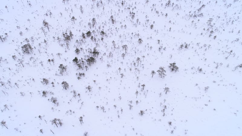 Aerial view of nordic landscapes covered with snow in Harju maakond.