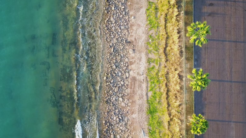 Beautiful bird eye shot of Darwin beach with Palm trees at the roadside