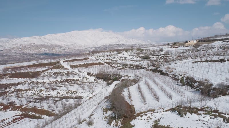 Aerial view of a dry vineyard in the snow, Golan Heights, Israel .