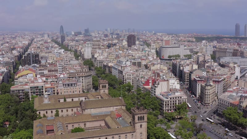 Grand Via in Barcelona a Treelined Street in the Bustling Gothic City