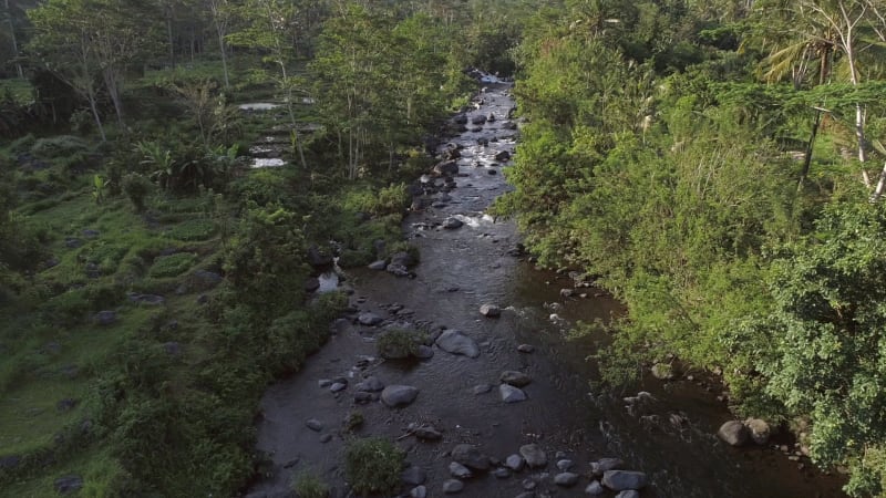 Aerial view of river flowing between tropical forest.