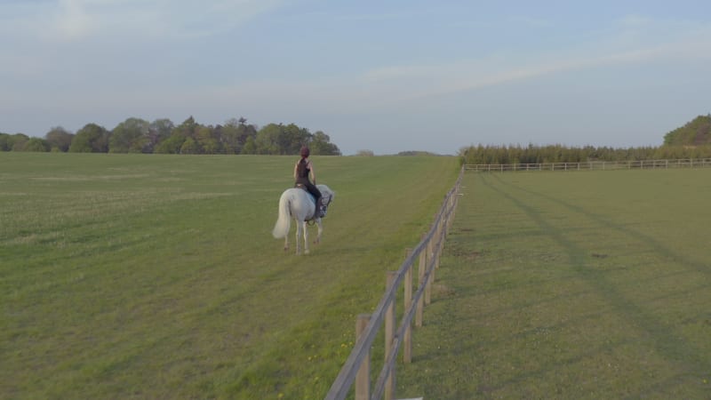 Girl Riding A White Horse in the Countryside