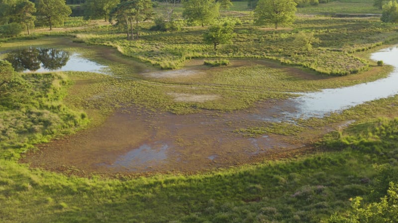 Natural pond forming on the green plains