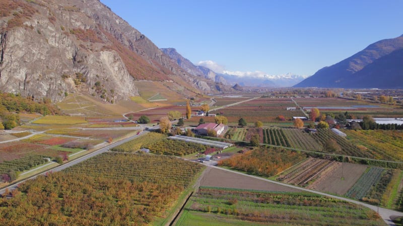 Valais Wine Region Switzerland's Largest Vineyard and Wine Production Area