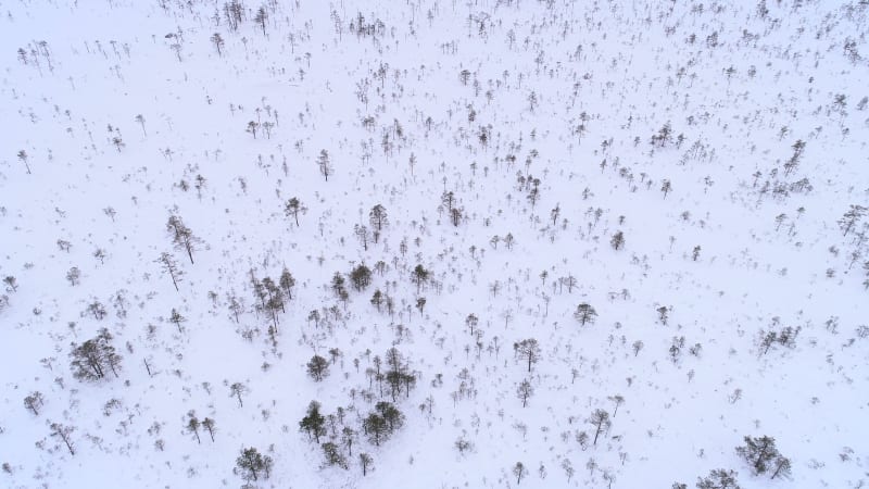 Aerial view of nordic landscapes covered with snow in Harju maakond.