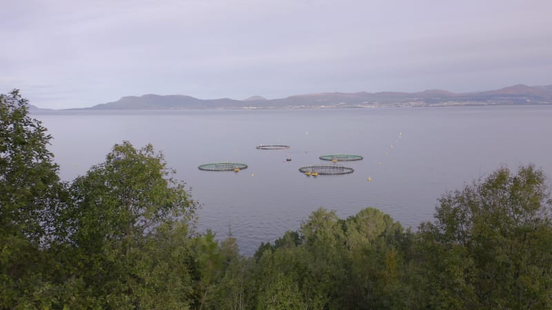 An Aquaculture Fish Farm Used to Hold Fish Stocks for Food