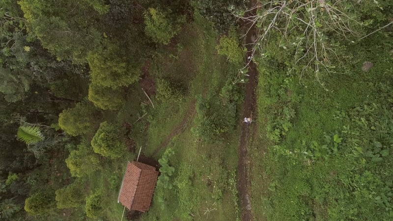 Aerial view of two persons walking on mud trail, Bali island.