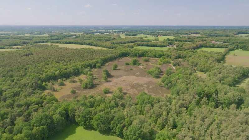 Aerial view of nature reserve Vasser Heide, Haarle, Twente, Netherlands.