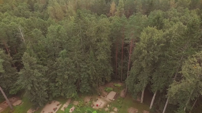 Aerial view of Orthodox Chapel located in cemetery on the forest.