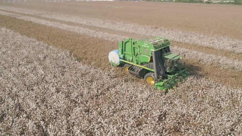 Aerial view of combine picking cotton, Kibbutz Saar, Mate Asher, Israel.