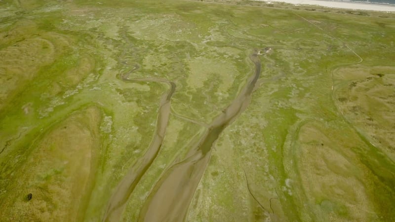 Abstract aerial view of wetlands.