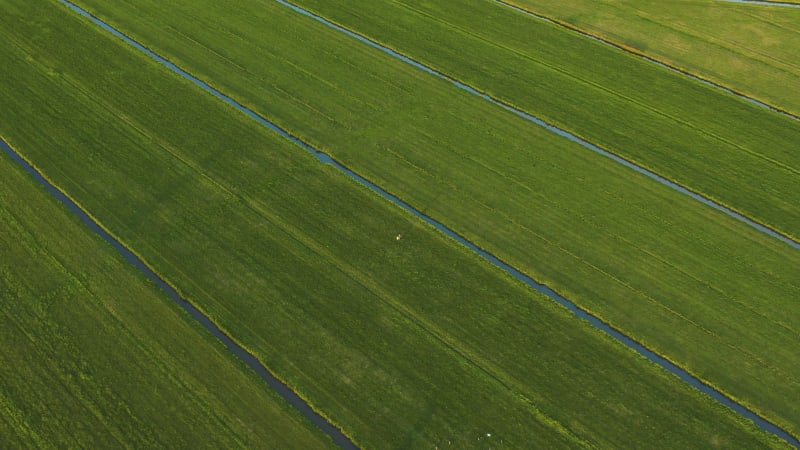 Lone person walking through lush green fields