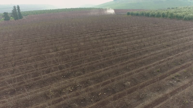 Aerial View of sprinkler at work in almond plantation. Mishmar HaYarden, Israel.