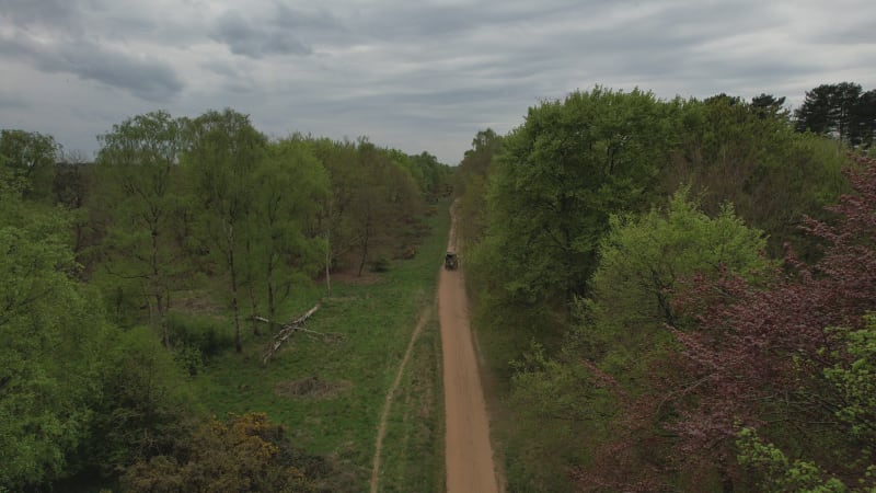 Aerial view of a car driving through the forest among the trees.