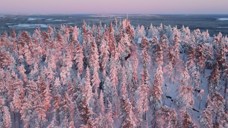 Aerial view of a forest in winter in Overtornea, Sweden.