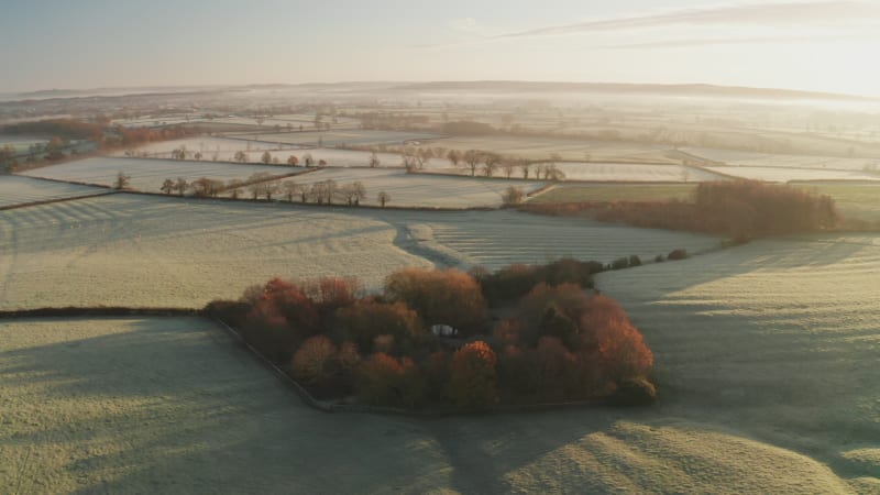 Rural countryside landscape scenery with orange autumn trees and green fields in farmland on a farm with typical beautiful English woods in The Cotswolds in beautiful sunrise sunlight, England, UK