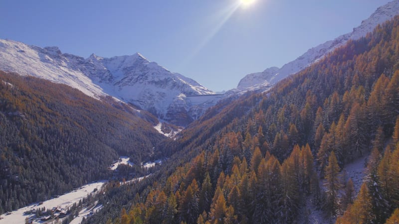 Mountain Forests in the Fall in Switzerland