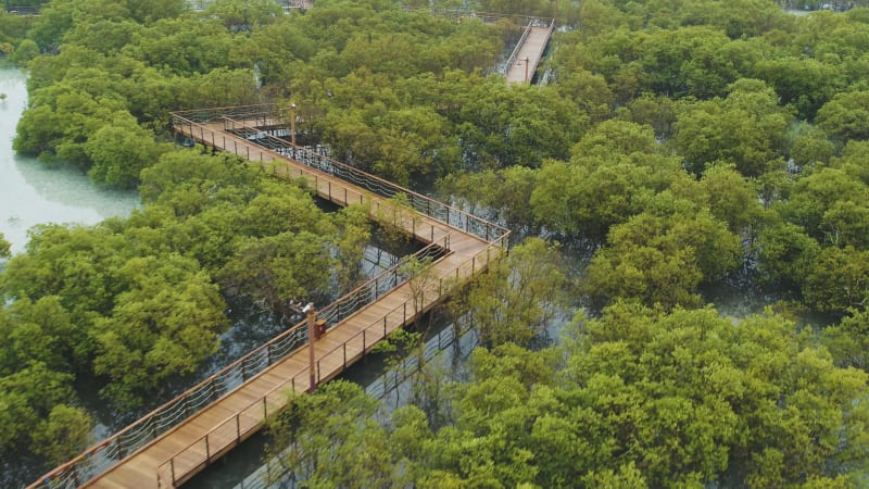 Aerial view of Jubail Mangrove Park, Abu Dhabi, United Arab Emirates.