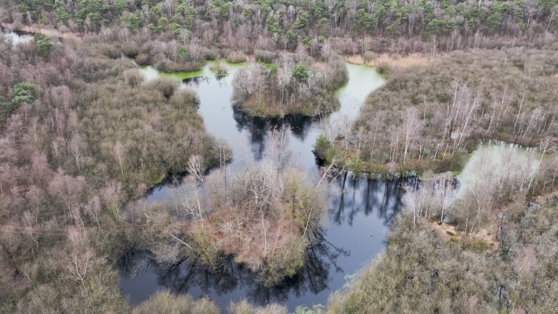 Aerial view of lakes and wet forest, Molenven, Twente, Overijssel, Netherlands