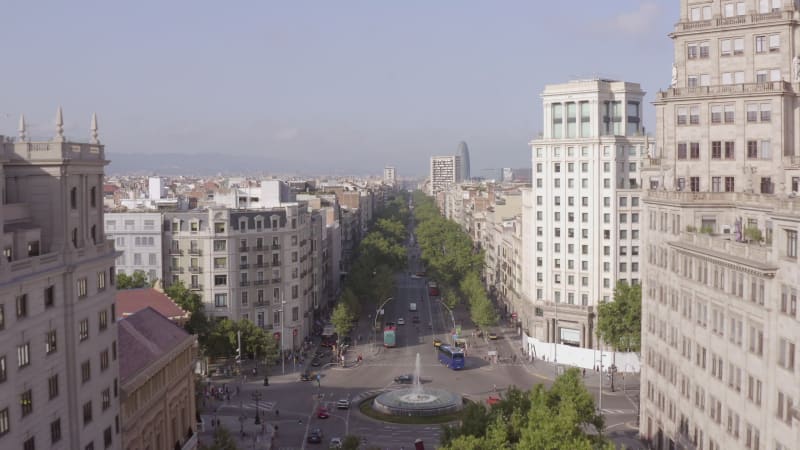 Grand Via in Barcelona a Treelined Street in the Bustling Gothic City