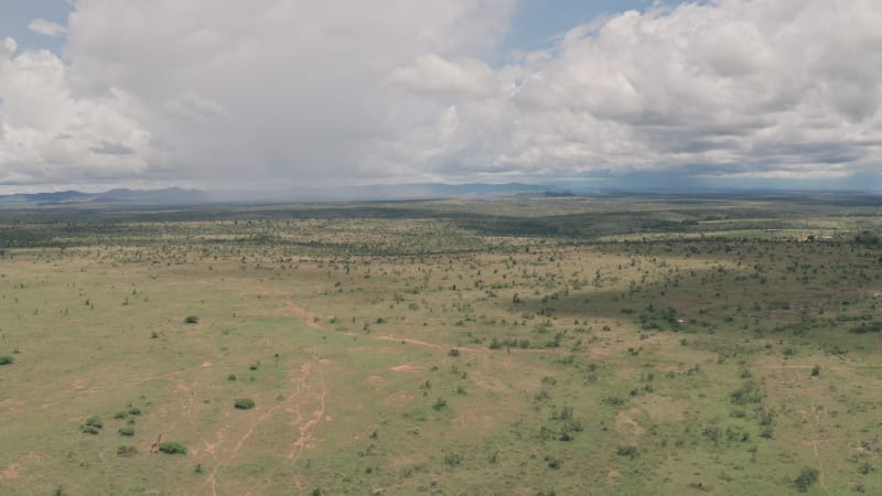 Aerial view of wild savanna landscape in Kenya, Africa