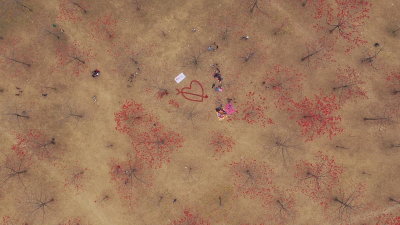 Aerial view of people in a countryside field, Dhaka, Bangladesh.